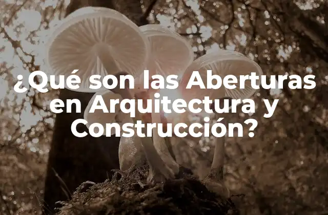¿qué Son las Aberturas en Arquitectura y Construcción?