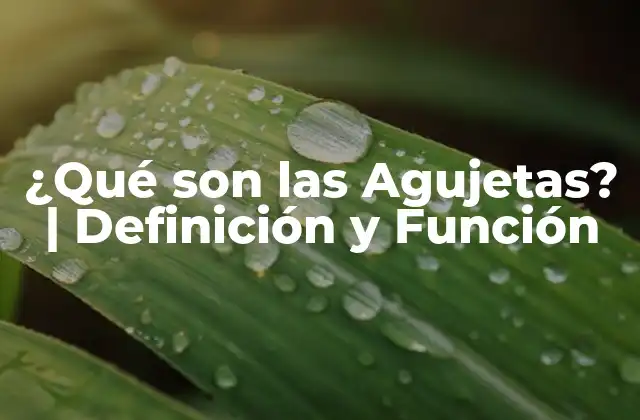 ¿qué Son las Agujetas? | Definición y Función 2 ¿Qué es una Agujeta? Definición y Función