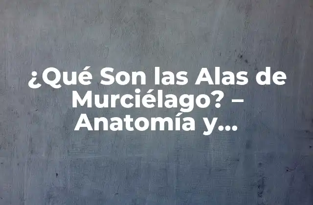 ¿qué Son las Alas de Murciélago? – Anatomía y Funcionamiento