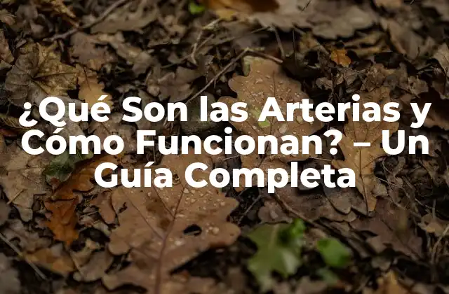 ¿qué Son las Arterias y Cómo Funcionan? – un Guía Completa