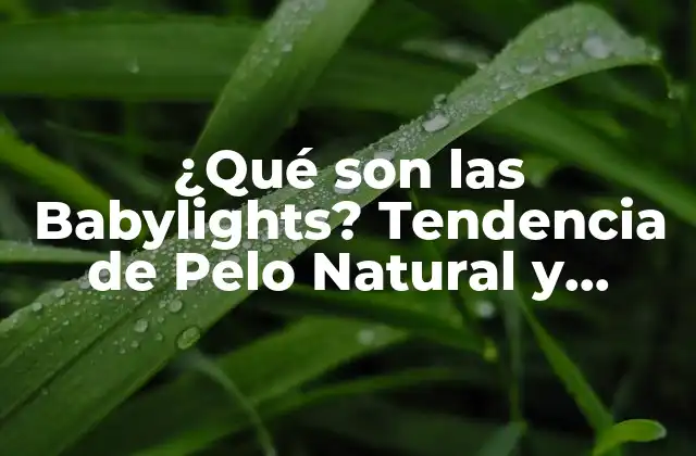 ¿qué Son las Babylights? Tendencia de Pelo Natural y Brillante