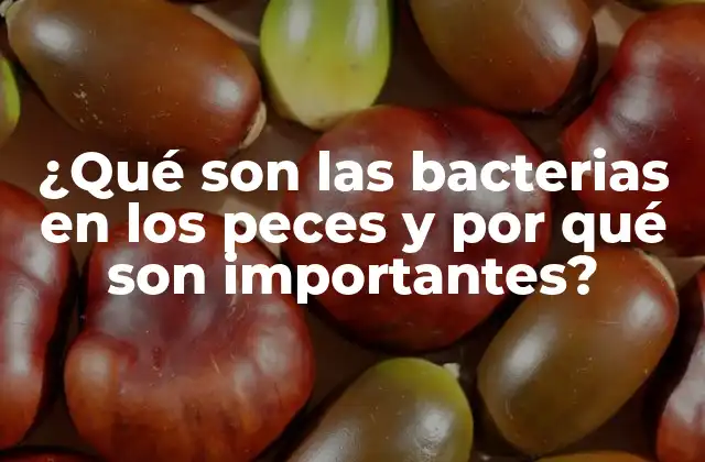 ¿qué Son las Bacterias en los Peces y por Qué Son Importantes?