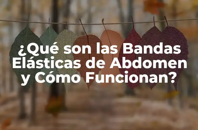¿Cómo Funcionan las Bandas Elásticas de Abdomen?