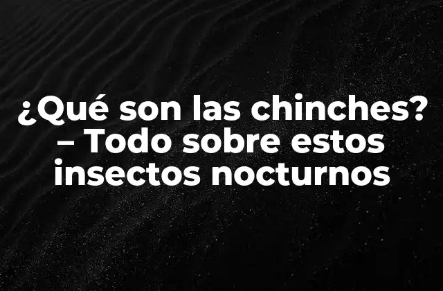 ¿qué Son las Chinches? – Todo sobre Estos Insectos Nocturnos