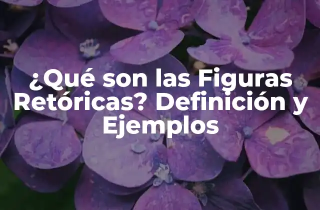 ¿qué Son las Figuras Retóricas? Definición y Ejemplos