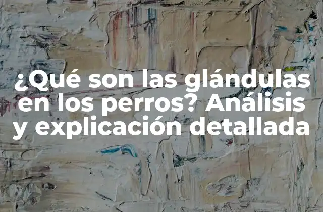 ¿qué Son las Glándulas en los Perros? Análisis y Explicación Detallada