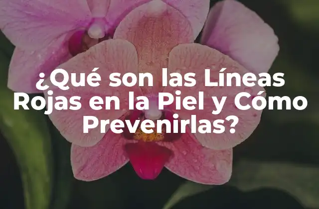 ¿qué Son las Líneas Rojas en la Piel y Cómo Prevenirlas?