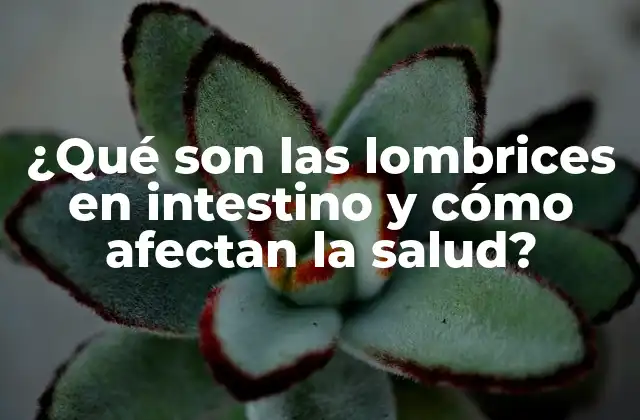 ¿qué Son las Lombrices en Intestino y Cómo Afectan la Salud?