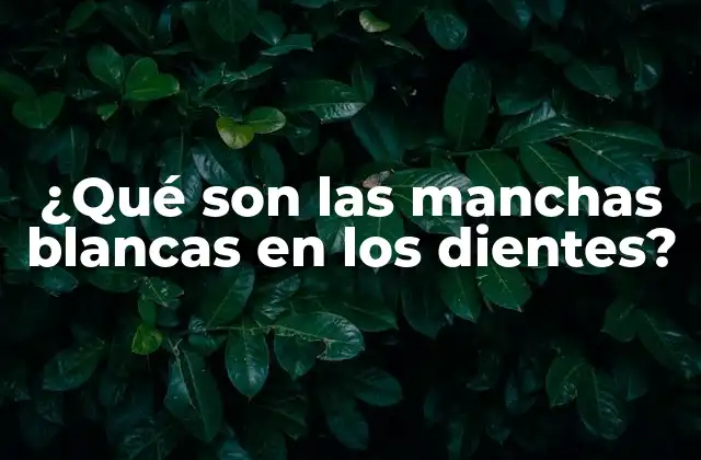 ¿qué Son las Manchas Blancas en los Dientes? 2 Causas de las manchas blancas en los dientes