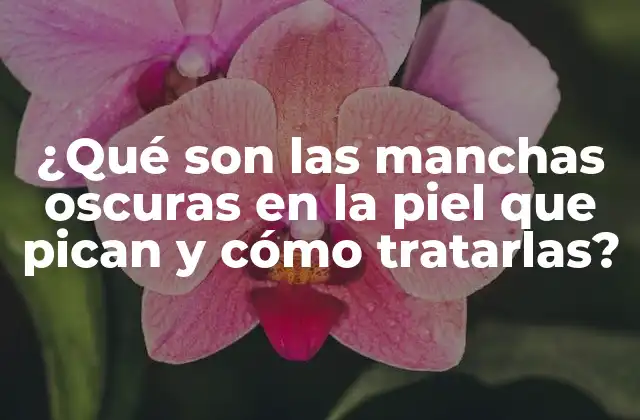 ¿qué Son las Manchas Oscuras en la Piel que Pican y Cómo Tratarlas?