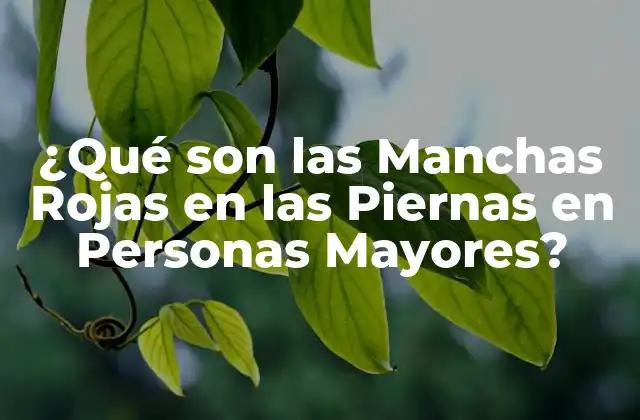 ¿qué Son las Manchas Rojas en las Piernas en Personas Mayores?