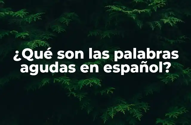 ¿qué Son las Palabras Agudas en Español?