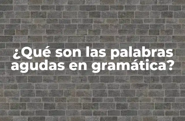 ¿qué Son las Palabras Agudas en Gramática?