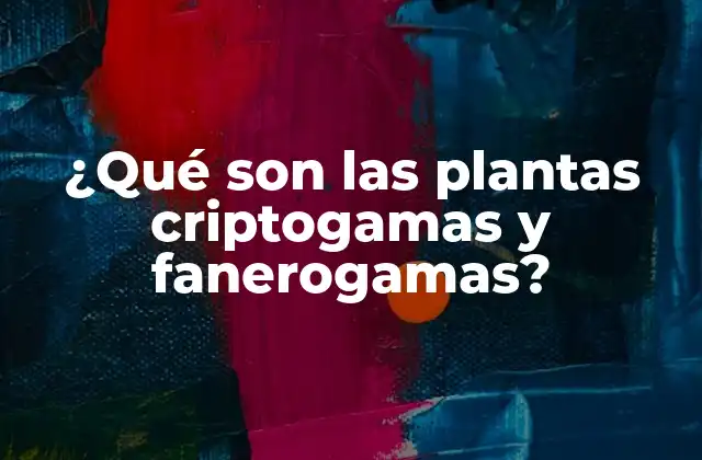 ¿qué Son las Plantas Criptogamas y Fanerogamas?