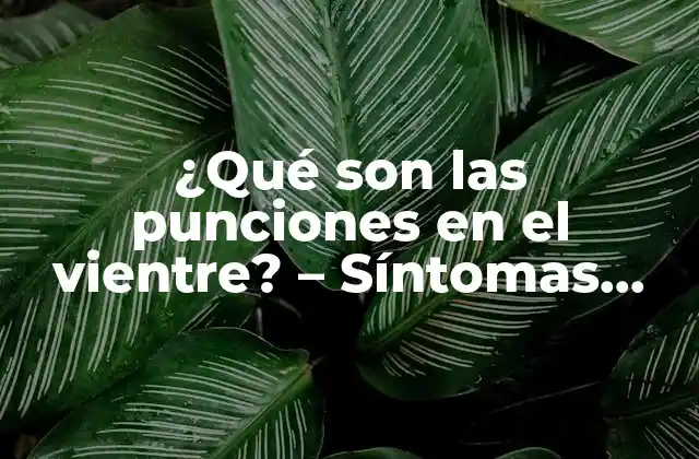 ¿qué Son las Punciones en el Vientre? – Síntomas, Causas y Tratamiento