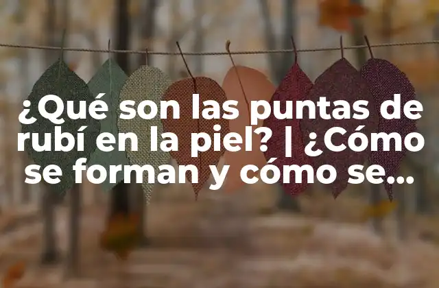 ¿qué Son las Puntas de Rubí en la Piel? | ¿cómo Se Forman y Cómo Se Eliminan?
