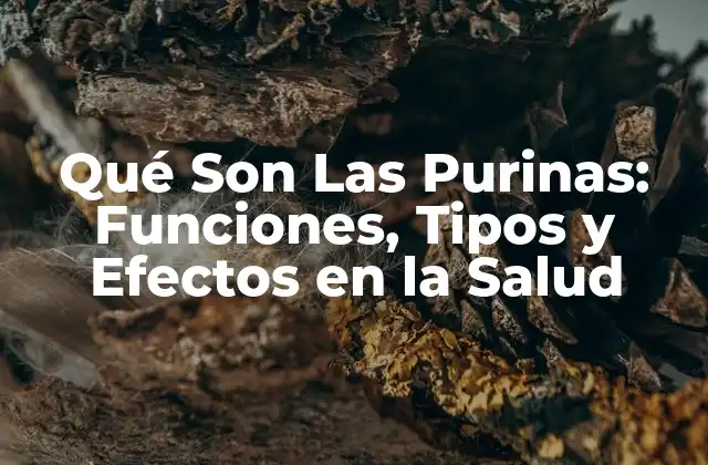 Qué Son las Purinas: Funciones, Tipos y Efectos en la Salud