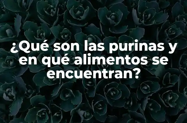 ¿qué Son las Purinas y en Qué Alimentos Se Encuentran?