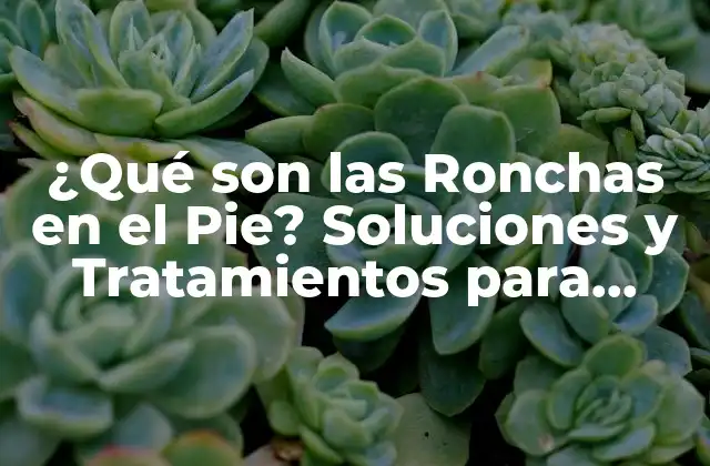 ¿qué Son las Ronchas en el Pie? Soluciones y Tratamientos para Eliminarlas
