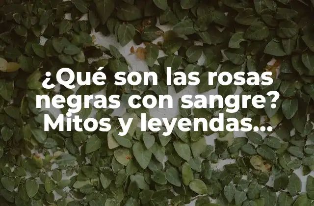 ¿qué Son las Rosas Negras con Sangre? Mitos y Leyendas Detrás de Estas Hermosas Flores