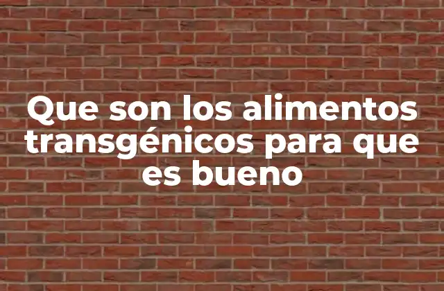 Que Son los Alimentos Transgénicos para que es Bueno