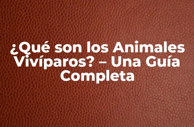 Características de los Animales Vivíparos