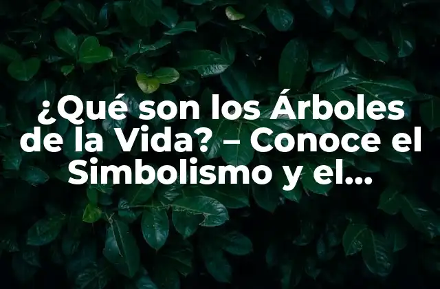 ¿qué Son los Árboles de la Vida? – Conoce el Simbolismo y el Significado Espiritual