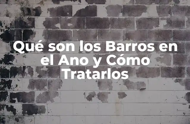 Qué Son los Barros en el Ano y Cómo Tratarlos