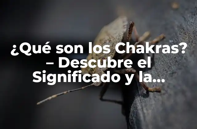 ¿qué Son los Chakras? – Descubre el Significado y la Importancia de los Centros de Energía