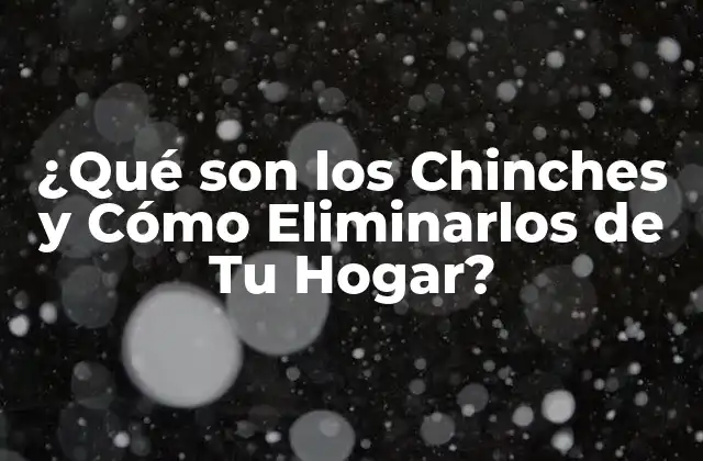 ¿qué Son los Chinches y Cómo Eliminarlos de Tu Hogar? 2 ¿Qué son los Chinches exactamente?