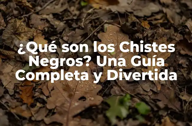 ¿qué Son los Chistes Negros? una Guía Completa y Divertida