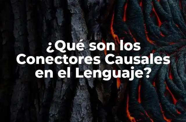 ¿qué Son los Conectores Causales en el Lenguaje?