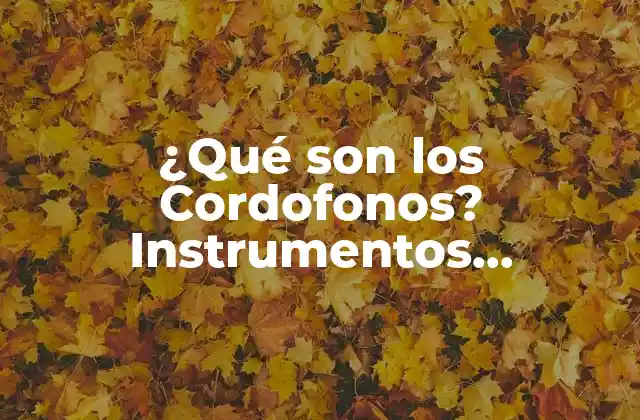 ¿qué Son los Cordofonos? Instrumentos Musicales de Cuerda Percutida