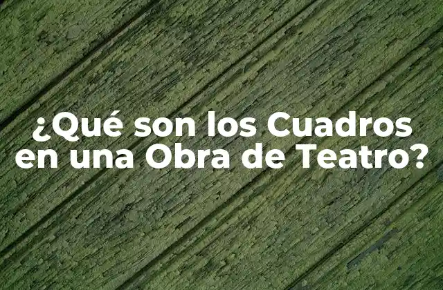 ¿qué Son los Cuadros en una Obra de Teatro?