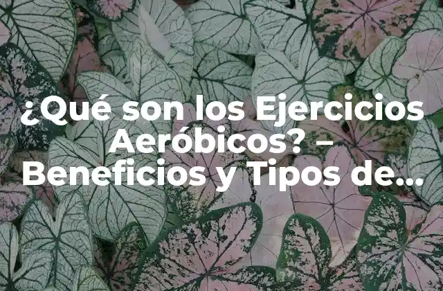¿qué Son los Ejercicios Aeróbicos? – Beneficios y Tipos de Ejercicios Aeróbicos