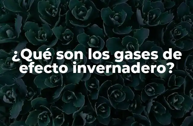 ¿qué Son los Gases de Efecto Invernadero?
