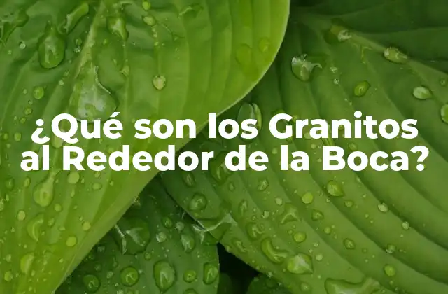 ¿qué Son los Granitos Al Rededor de la Boca? 2 ¿Cuáles son los Síntomas de los Granitos al Rededor de la Boca?