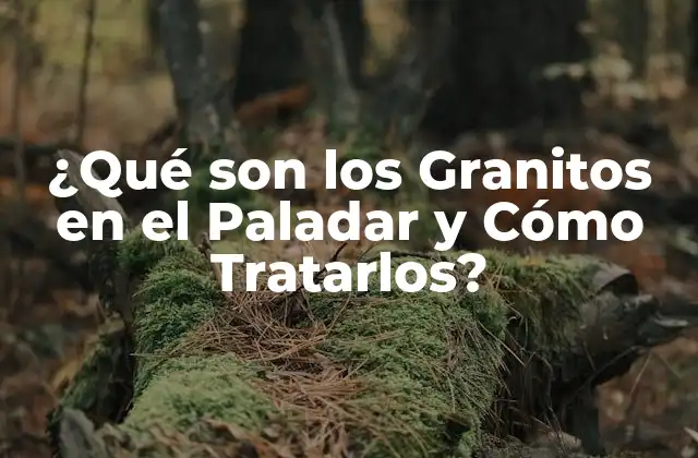 Causas de los Granitos en el Paladar