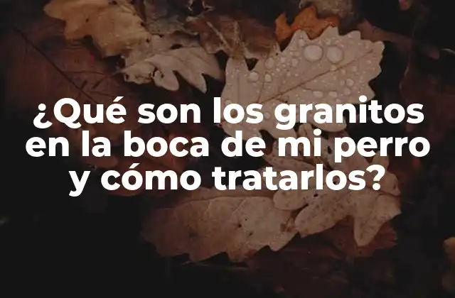 ¿qué Son los Granitos en la Boca de Mi Perro y Cómo Tratarlos? 2 ¿Qué son los granitos en la boca de mi perro?