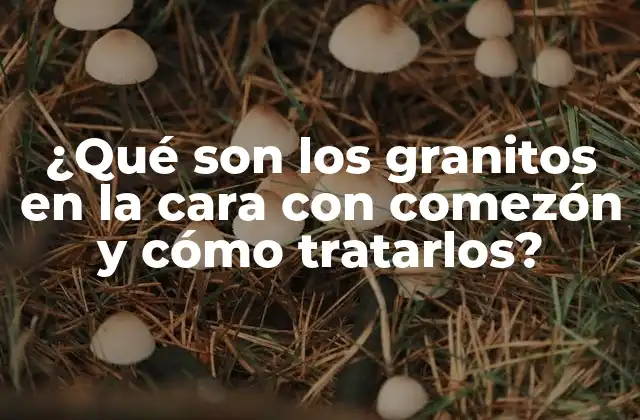 ¿qué Son los Granitos en la Cara con Comezón y Cómo Tratarlos?