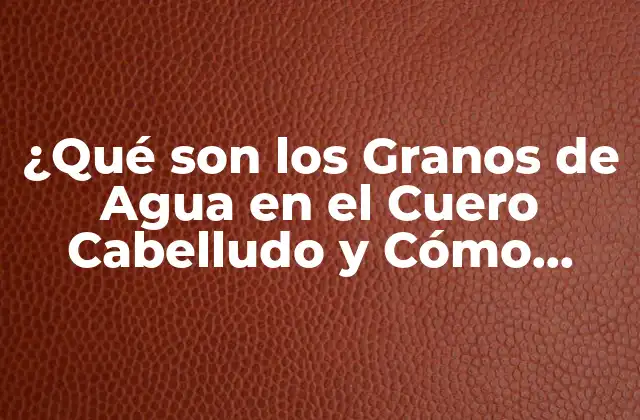 ¿qué Son los Granos de Agua en el Cuero Cabelludo y Cómo Eliminarlos?