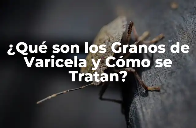 ¿Qué son los Granos de Varicela exactamente?