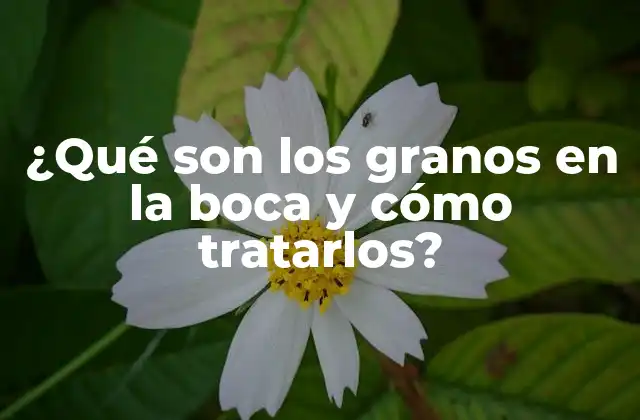 Causas de los granos en la boca
