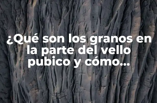 ¿qué Son los Granos en la Parte Del Vello Pubico y Cómo Tratarlos?