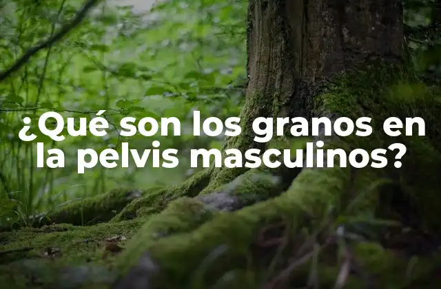 ¿qué Son los Granos en la Pelvis Masculinos?