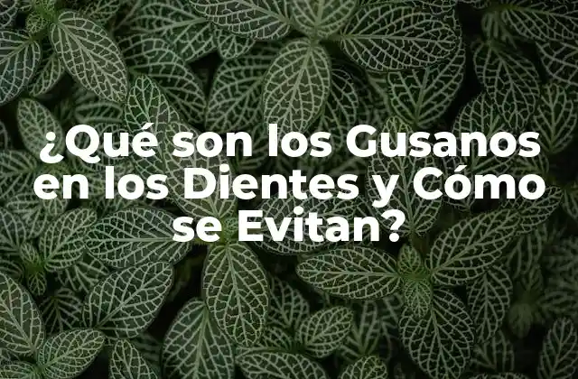 ¿qué Son los Gusanos en los Dientes y Cómo Se Evitan?