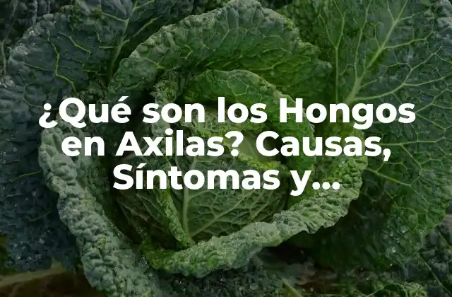 ¿qué Son los Hongos en Axilas? Causas, Síntomas y Tratamientos