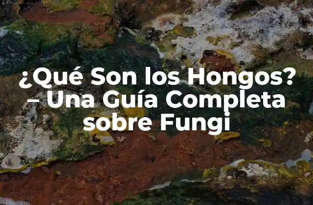 ¿qué Son los Hongos? – una Guía Completa sobre Fungi