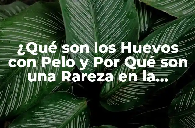 ¿qué Son los Huevos con Pelo y por Qué Son una Rareza en la Naturaleza?