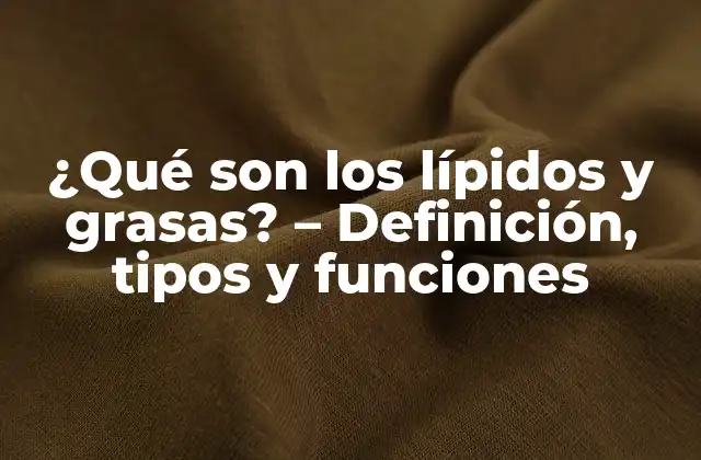 ¿qué Son los Lípidos y Grasas? – Definición, Tipos y Funciones
